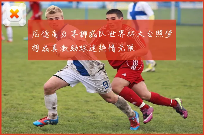 厄德高分享挪威队世界杯大合照梦想成真激励球迷热情无限