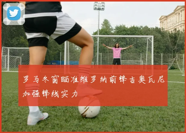 罗马冬窗瞄准维罗纳前锋吉奥瓦尼加强锋线实力