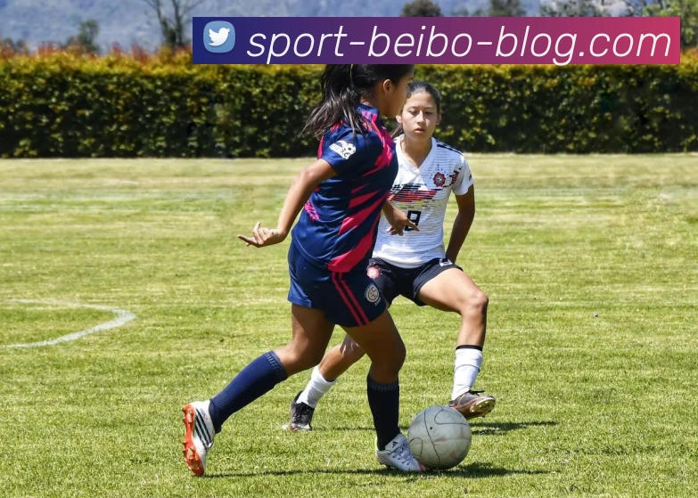 贝博体育服务体系